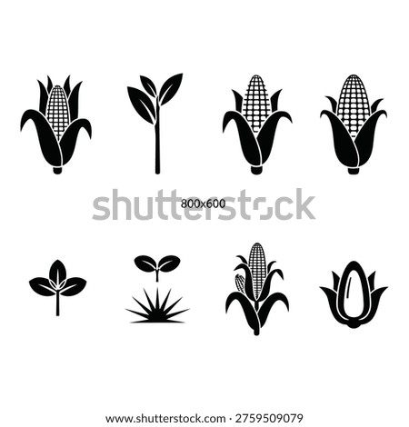 A set of 8 black and white icons featuring corn and plants in various stages of growth, with detailed line work and simple styling