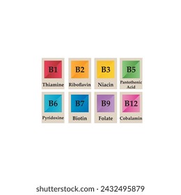 Set of 8 colorful vitamin icons -group B vitamins - B1, B2, B3, B5, B6, B7, B9, B12 - simple icon illustration with chemical names, graphic element for products, supplements, web design and more.