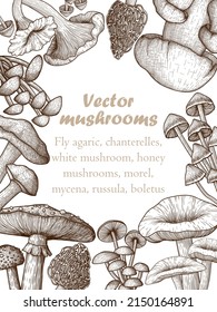 Set of 8 different vector mushrooms in engraving style. Graphic linear frame of fly agaric, chanterelles, porcini mushrooms, honey agaric, morel, mycenae, russula, boletus