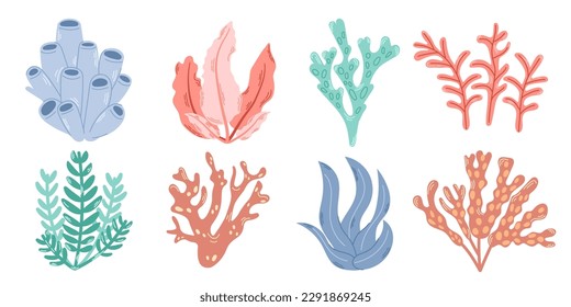 Set of 8 elements of underwater planting. Bright colorful set of seaweed and corals. Modern flat illustration.