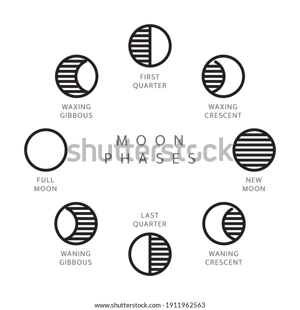 Set 8 Moon Phases Line Icons Stock Vector (Royalty Free) 1911962563 ...