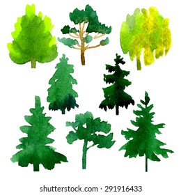 Set of 8 trees, hand drawn in watercolor medium, isolated on white background. Vector illustration