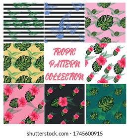 Set of 8 Tropical flower seamless pattern. Blossom flowers for nature background