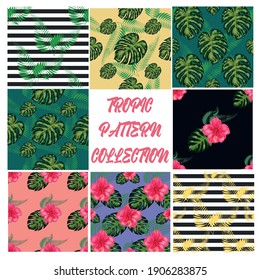 Set of 8 Tropical flower seamless pattern. Blossom flowers for nature background