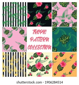 Set of 8 Tropical flower seamless pattern. Blossom flowers for nature background