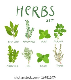 Set of 8 vector herbs svg