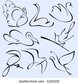 A set of 8 vector illustrations of birds in unique exquisite and ornamental style.