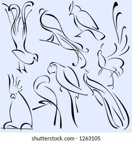 Un conjunto de 8 ilustraciones vectoriales de aves con un estilo único, exquisito y ornamental.