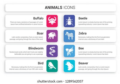 Set of 8 white animals icons such as Buffalo, Boar, blindworm, Bird, Beetle, Zebra isolated on colorful background