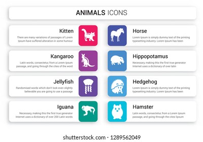 Set of 8 white animals icons such as kitten, Kangaroo, Jellyfish, iguana, Horse, Hippopotamus isolated on colorful background