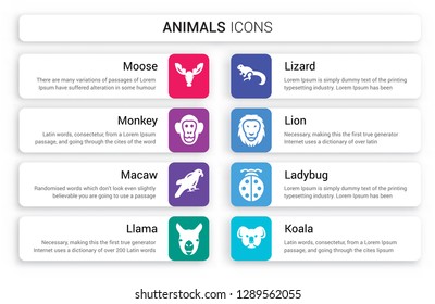 Set of 8 white animals icons such as Moose, Monkey, Macaw, Llama, Lizard, Lion isolated on colorful background