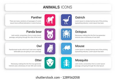 Set of 8 white animals icons such as Panther, Panda bear, Owl, Otter, Ostrich, Octopus isolated on colorful background