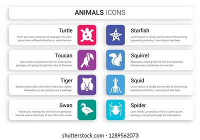 Set of 8 white animals icons such as Turtle, Toucan, Tiger, Swan, Starfish, Squirrel isolated on colorful background