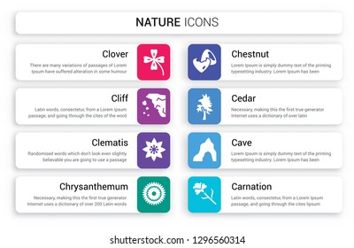 Set of 8 white nature icons such as Clover, Cliff, Clematis, Chrysanthemum, Chestnut, Cedar isolated on colorful background