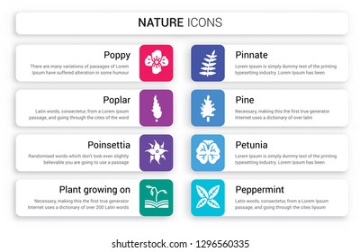 Set of 8 white nature icons such as Poppy, Poplar, Poinsettia, plant growing on book, Pinnate, Pine isolated colorful background