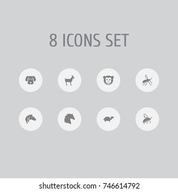 Set Of 8 Zoo Icons Set.Collection Of Horse, Livestock, Tortoise And Other Elements.