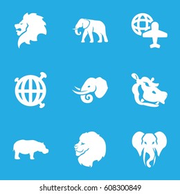 set of 9 africa filled icons such as lion, elephant, hippopotamus, globe and plane