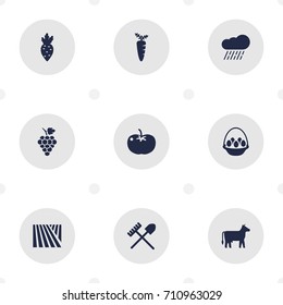 Set Of 9 Agricultural Icons Set.Collection Of Container, Veggie, Radish And Other Elements.