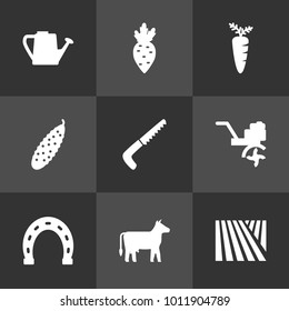 Set of 9 agriculture icons set. Collection of bailer, talisman, veggie and other elements.