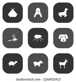 Set of 9 alive icons set. Collection of dragonfly, turtle, moth and other elements.