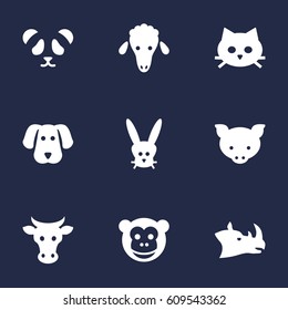 Set Of 9 Alive Icons Set.Collection Of Kine, Hound, Bunny And Other Elements.