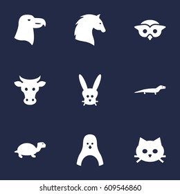 Set Of 9 Alive Icons Set.Collection Of Tomcat, Bird, Tortoise And Other Elements.
