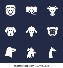 Set Of 9 Alive Icons Set.Collection Of Bishop, Camelopard, King And Other Elements.