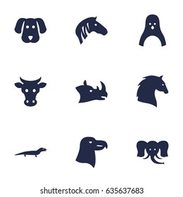Set Of 9 Alive Icons Set.Collection Of Rhinoceros, Steed, Hound And Other Elements.