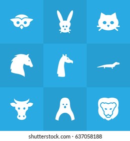 Set Of 9 Alive Icons Set.Collection Of Pussy, Kine, Bunny And Other Elements.