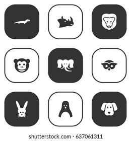 Set Of 9 Alive Icons Set.Collection Of Trunked Animal, Wildcat, Night Fowl And Other Elements.