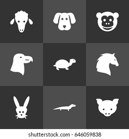 Set Of 9 Alive Icons Set.Collection Of Hog, Aquila, Steed And Other Elements.