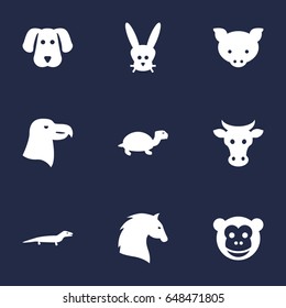 Set Of 9 Alive Icons Set.Collection Of Ape, Aquila, Tortoise And Other Elements.