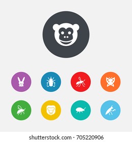 Set Of 9 Alive Icons Set.Collection Of Bunny, Housefly, Gnat And Other Elements.