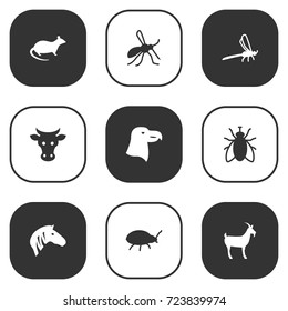Set Of 9 Alive Icons Set.Collection Of Horse, Bug, Damselfly And Other Elements.