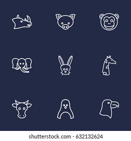 Set Of 9 Alive Outline Icons Set.Collection Of Penguin, Eagle, Pig And Other Elements.