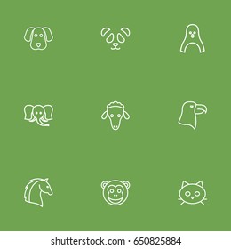 Set Of 9 Alive Outline Icons Set.Collection Of Eagle, Horse, Elephant And Other Elements.