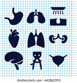 Set of 9 anatomy filled icons such as hair removal, heart organ, lungs, brain, kidney, bladder