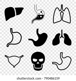 Set of 9 anatomy filled and outline icons such as liver, stomach, skull, bladder