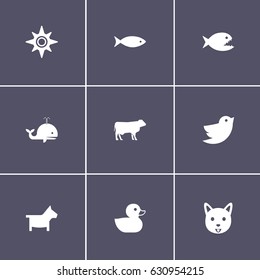 set of 9 animal icons