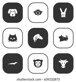 Set Of 9 Animal Icons Set.Collection Of Pussy, Gecko, Rhinoceros And Other Elements.