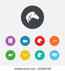 Set Of 9 Animal Icons Set.Collection Of Tortoise, Gecko, Aquila And Other Elements.