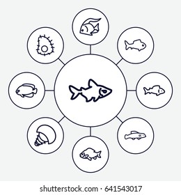 Set of 9 aquatic outline icons such as fish, extinct sea creature