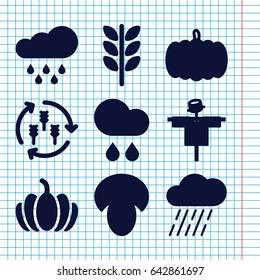 Set of 9 autumn filled icons such as harvest, mushroom, pumpkin, scarecrow, rain