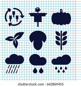 Set of 9 autumn filled icons such as harvest, mushroom, pumpkin, scarecrow, rain, leaf