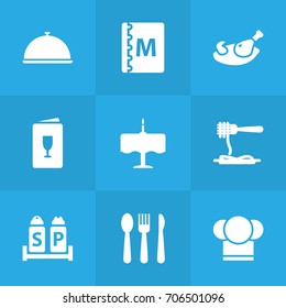 Set Of 9 Bar Icons Set.Collection Of Chef, Grill, Alcohol And Other Elements.