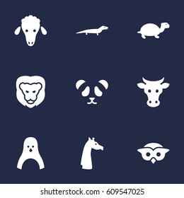 Set Of 9 Beast Icons Set.Collection Of Owl, Camelopard, Tortoise And Other Elements.