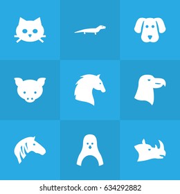 Set Of 9 Beast Icons Set.Collection Of Steed, Rhinoceros, Horse And Other Elements.