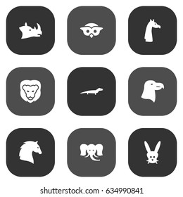 Set Of 9 Beast Icons Set.Collection Of Rhinoceros, Aquila, Night Fowl And Other Elements.