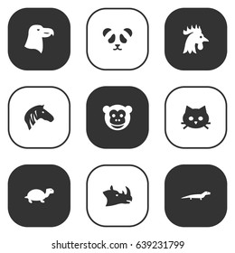Set Of 9 Beast Icons Set.Collection Of Aquila, Rooster, Rhinoceros And Other Elements.