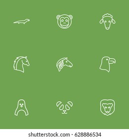 Set Of 9 Beast Outline Icons Set.Collection Of Horse, Lion, Lizard And Other Elements.